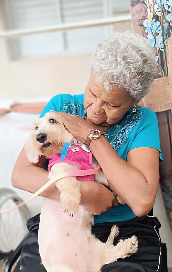 Lar Alice de Oliveira